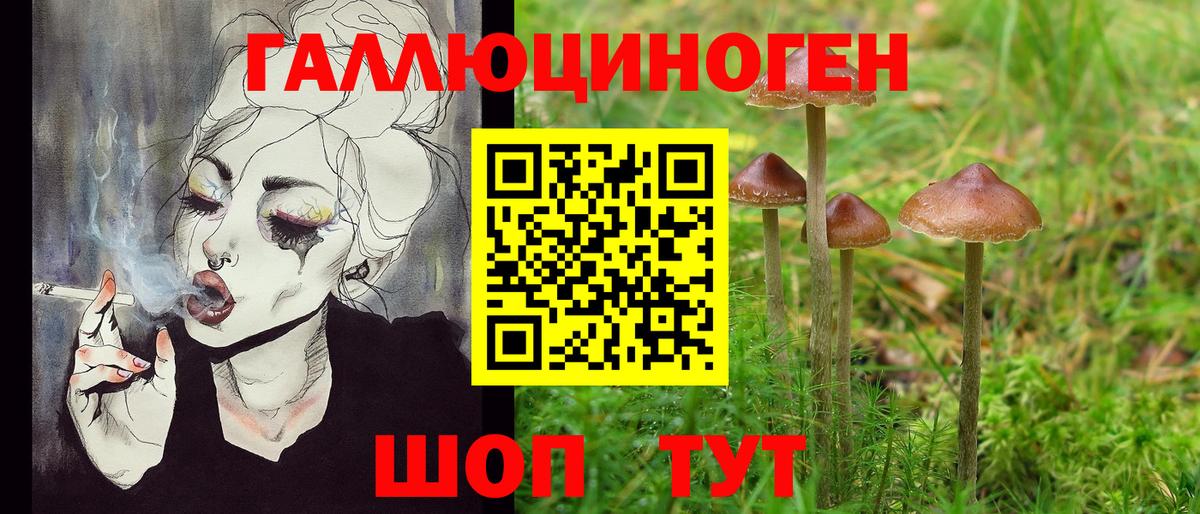 Галлюциногенные грибы мицелий Ростов-на-Дону