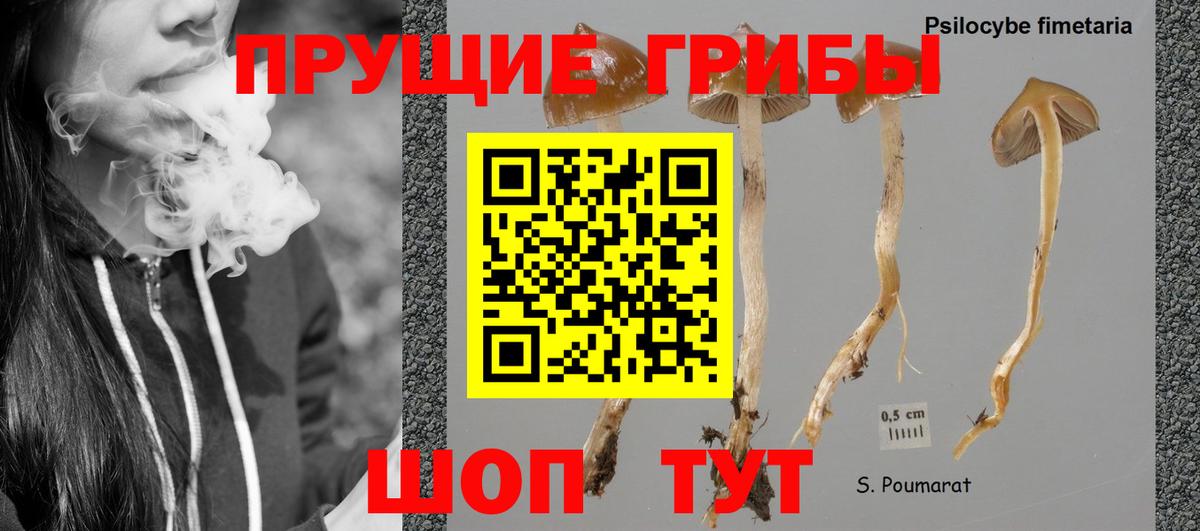 Псилоцибиновые грибы ЛСД  Псилоцибиновые грибы ЛСД  Ростов-на-Дону  Вход с VPN 